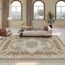 Retro Persian Rug for Living Room