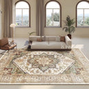 Retro Persian Rug for Living Room